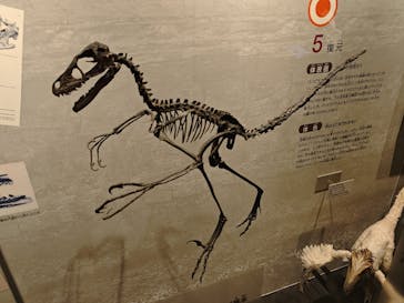 国立科学博物館に投稿された画像（2025/8/12）