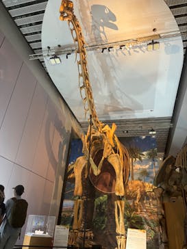 巨大恐竜展2025に投稿された画像（2025/8/12）