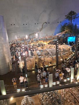 福井県立恐竜博物館に投稿された画像（2025/8/12）