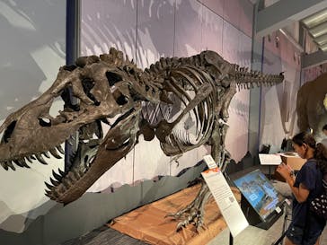 巨大恐竜展2025に投稿された画像（2025/8/12）