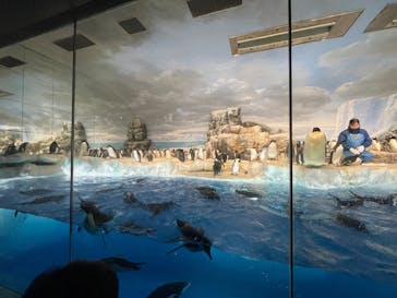 名古屋港水族館に投稿された画像（2025/8/12）