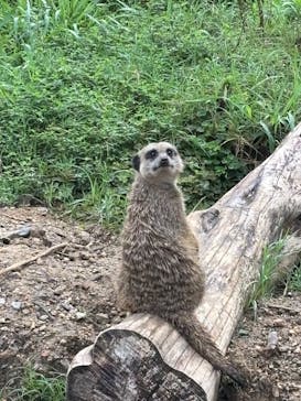 長崎バイオパークに投稿された画像（2025/8/12）