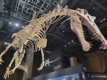 福井県立恐竜博物館に投稿された画像（2025/8/12）