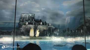 名古屋港水族館に投稿された画像（2025/8/12）