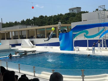 鴨川シーワールドに投稿された画像（2025/8/12）