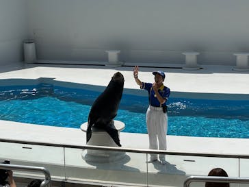 鴨川シーワールドに投稿された画像（2025/8/12）