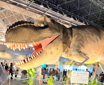 京都 大恐竜博 ～動く！吠える！暴れる！大迫力の巨大恐竜がやってくる～に投稿された画像（2025/8/12）