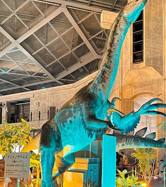 京都 大恐竜博 ～動く！吠える！暴れる！大迫力の巨大恐竜がやってくる～に投稿された画像（2025/8/12）