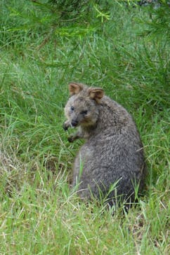 こども動物自然公園（埼玉県公園緑地協会）に投稿された画像（2025/8/12）