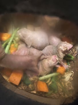 こども動物自然公園（埼玉県公園緑地協会）に投稿された画像（2025/8/12）