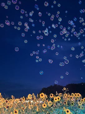 せんだい農業園芸センター　みどりの杜に投稿された画像（2025/8/12）