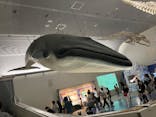名古屋港水族館に投稿された画像（2025/8/13）