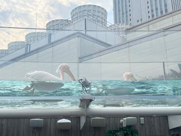 サンシャイン60展望台に投稿された画像（2025/8/13）