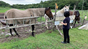 ゆり高原ホースパークに投稿された画像（2025/8/12）