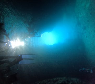 武藤潜水に投稿された画像（2025/8/13）