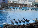 名古屋港水族館に投稿された画像（2025/8/13）