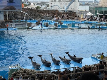 名古屋港水族館に投稿された画像（2025/8/13）