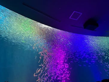 名古屋港水族館に投稿された画像（2025/8/13）