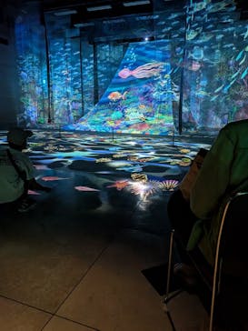 旅する光の切り絵展 ～くうそうって、まほうだよ～に投稿された画像（2025/8/13）