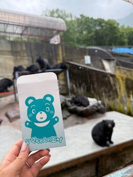 奥飛騨クマ牧場に投稿された画像（2025/8/13）