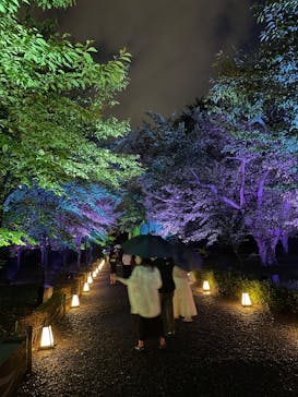 NAKED meets 二条城 2025 観月に投稿された画像（2025/8/13）