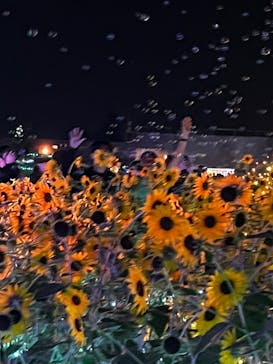 せんだい農業園芸センター　みどりの杜に投稿された画像（2025/8/13）