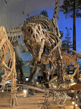 福井県立恐竜博物館に投稿された画像（2025/8/13）