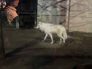 秋田市大森山動物園に投稿された画像（2025/8/13）