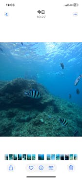 武藤潜水に投稿された画像（2025/8/13）