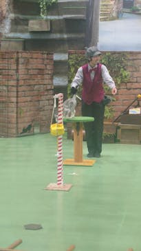 那須どうぶつ王国に投稿された画像（2025/8/13）