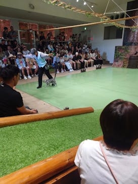 那須どうぶつ王国に投稿された画像（2025/8/13）