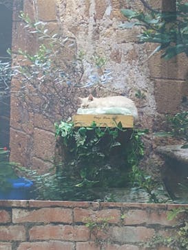 那須どうぶつ王国に投稿された画像（2025/8/13）