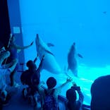 名古屋港水族館に投稿された画像（2025/8/13）