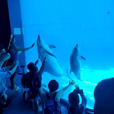 名古屋港水族館に投稿された画像（2025/8/13）