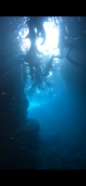 武藤潜水に投稿された画像（2025/8/13）