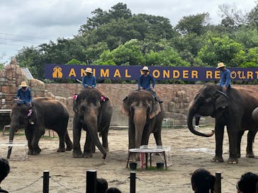 ANIMAL WONDER REZOURT 市原ぞうの国・サユリワールドに投稿された画像（2025/8/13）