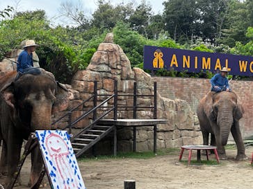 ANIMAL WONDER REZOURT 市原ぞうの国・サユリワールドに投稿された画像（2025/8/13）