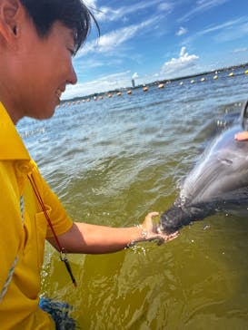 日間賀島ドルフィンビーチに投稿された画像（2025/8/13）