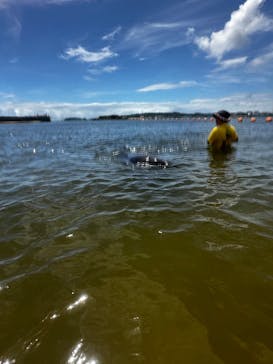 日間賀島ドルフィンビーチに投稿された画像（2025/8/13）