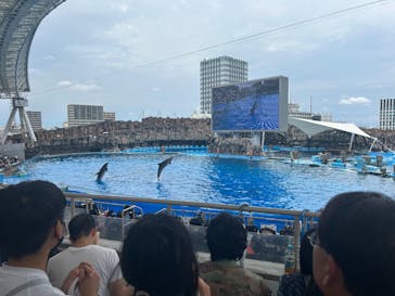 名古屋港水族館に投稿された画像（2025/8/13）