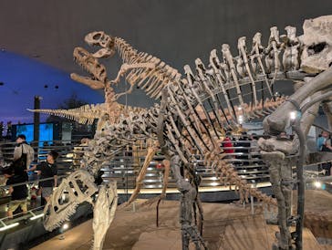 福井県立恐竜博物館に投稿された画像（2025/8/13）