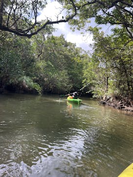 アマニコガイドサービスに投稿された画像（2025/8/13）
