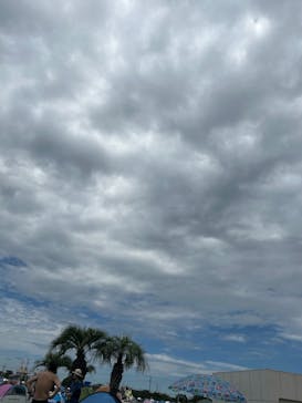 蓮沼ウォーターガーデンに投稿された画像（2025/8/13）