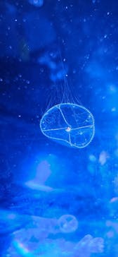 名古屋港水族館に投稿された画像（2025/8/13）