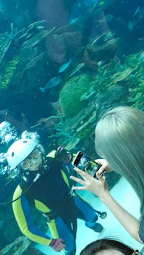 名古屋港水族館に投稿された画像（2025/8/13）