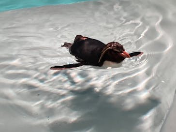 AOAO SAPPOROに投稿された画像（2025/8/13）