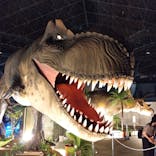 京都 大恐竜博 ～動く！吠える！暴れる！大迫力の巨大恐竜がやってくる～に投稿された画像（2025/8/13）