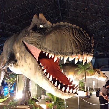 京都 大恐竜博 ～動く！吠える！暴れる！大迫力の巨大恐竜がやってくる～に投稿された画像（2025/8/13）