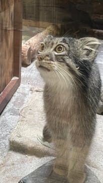 恩賜上野動物園に投稿された画像（2025/8/13）