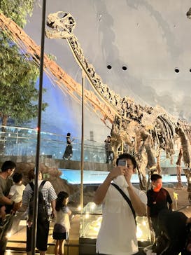 福井県立恐竜博物館に投稿された画像（2025/8/13）